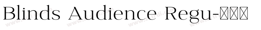 Blinds Audience Regu字体转换